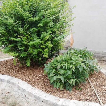 Gärten und Schaugärten - Herr Ferdinand Kernbauer